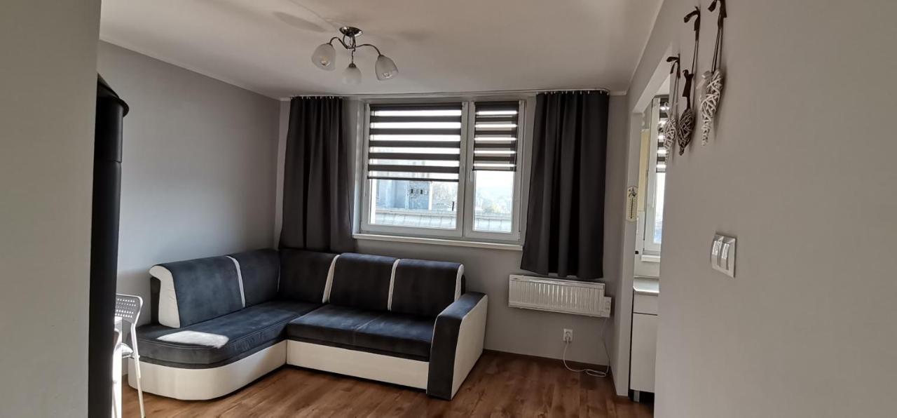 Ferienwohnung Apartament Przy Papierni Duszniki Zdrój Exterior foto